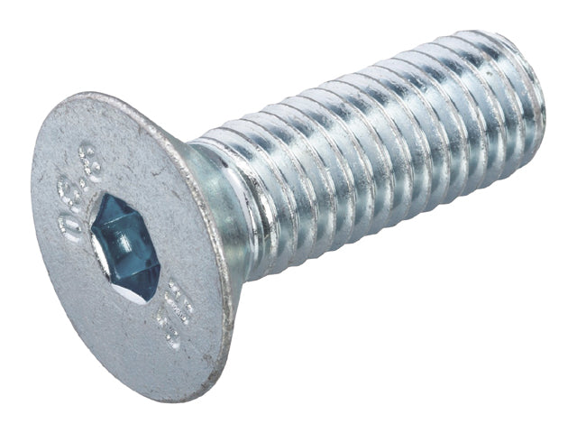 Talamex, Fladhovedbolt Indvendig Sekskant, Rustfrit Stål AISI 316 (1stk) – Størrelse: M10x30 (2), 6 Stk