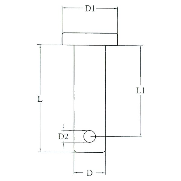 LT 09900212