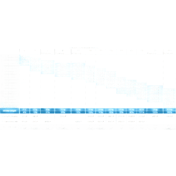 LT 77106058