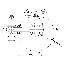 LT 80115002